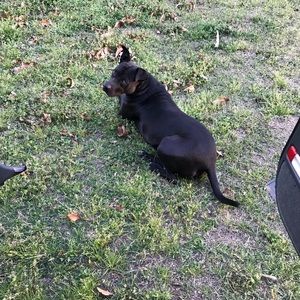 Meet your Posher, Tina